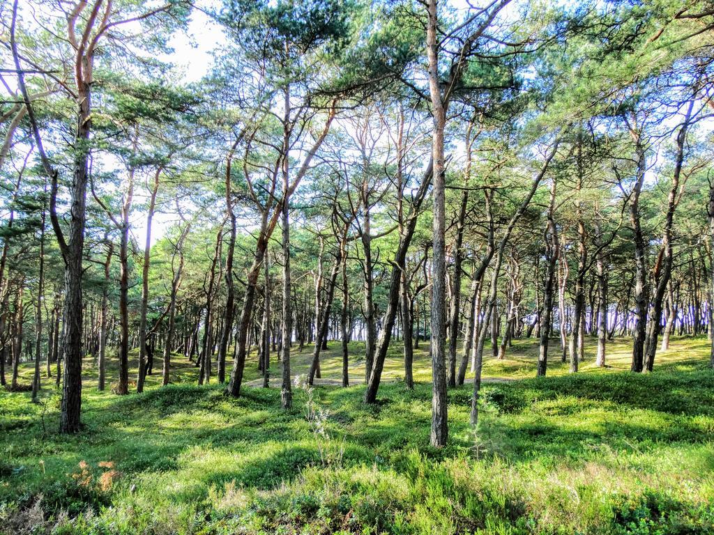 Domek Letniskowy Grazyna Villa Kopalino Buitenkant foto