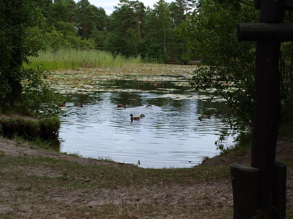 Domek Letniskowy Grazyna Villa Kopalino Buitenkant foto