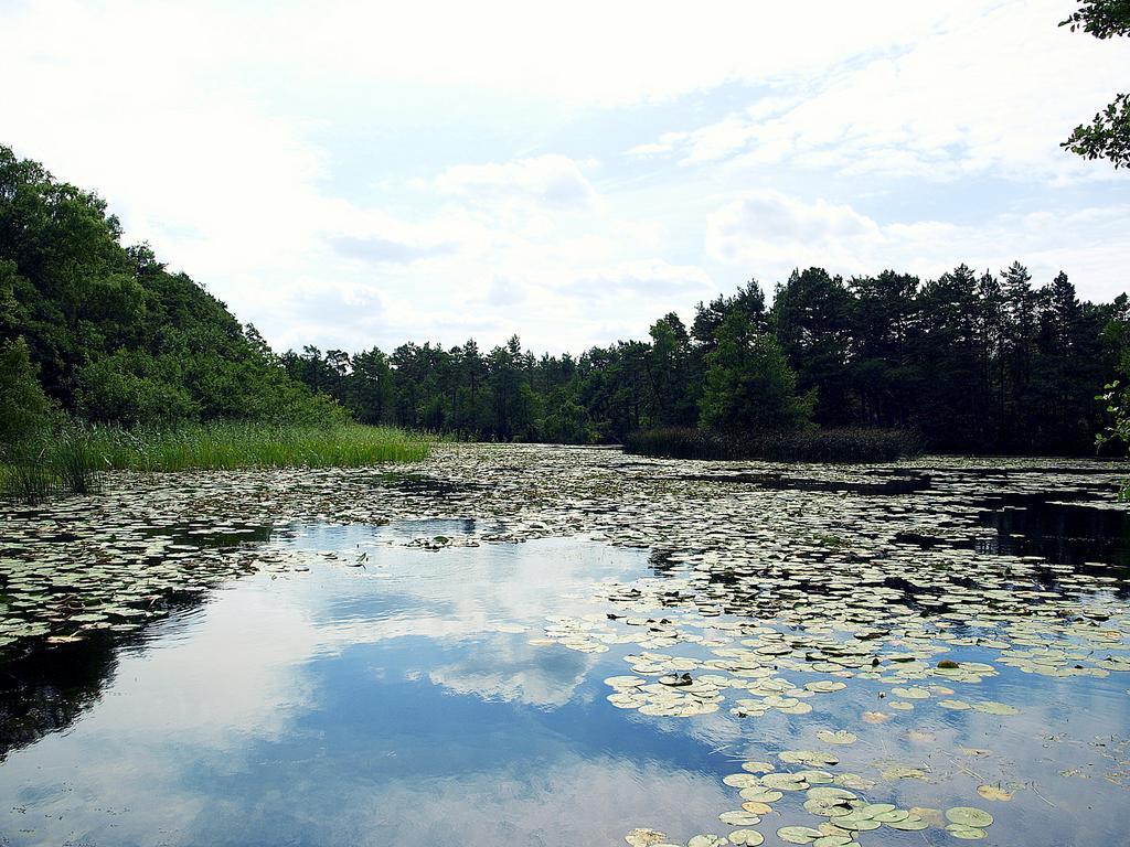 Domek Letniskowy Grazyna Villa Kopalino Buitenkant foto